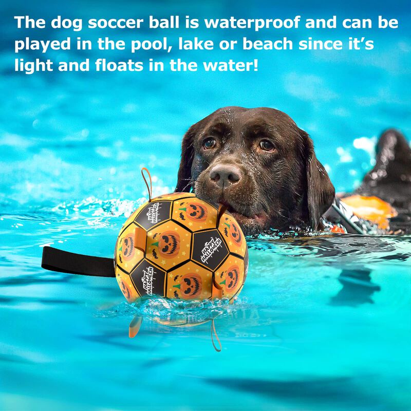Pelota De F&uacute;tbol Qdan De Juguete Para Perros De... image number null