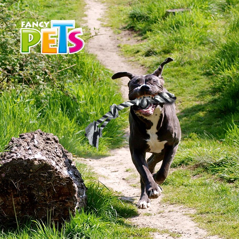 Fancy Pets Juguete de Hilo con 3 Nudos para Per... image number null