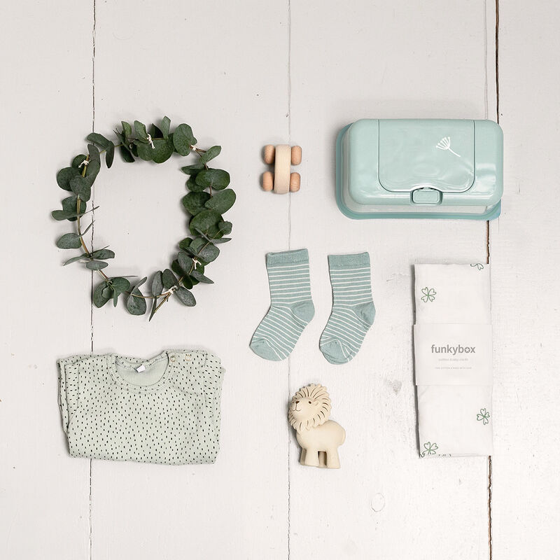 Toallitas Funkybox Menta - Hojas image number null