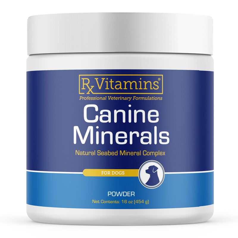 Suplemento En Polvo De Minerales Para Perros Rx... image number null