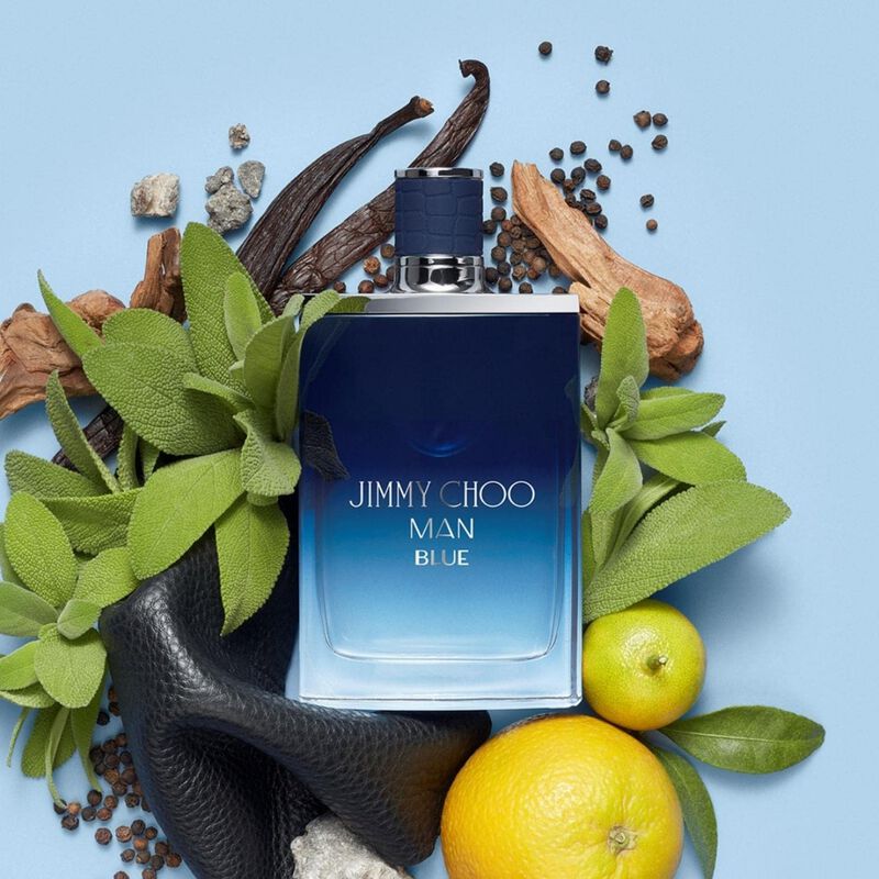 Perfume Jimmy Choo Man Blue Eau De Toilette 100... image number null