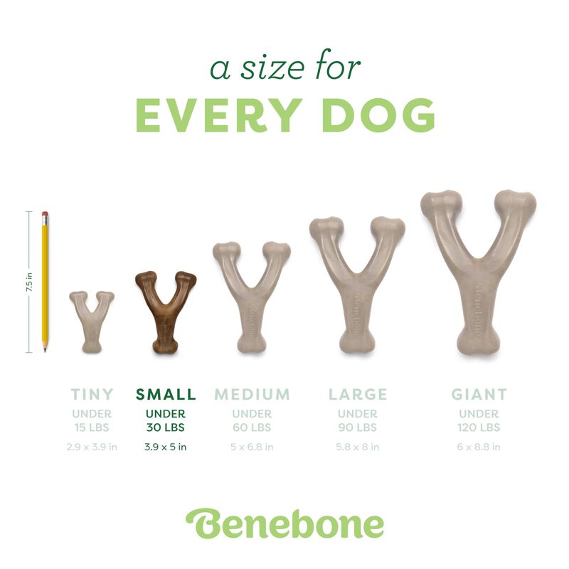 Juguete Para Morder Benebone Wishbone Sabor Toc... image number null