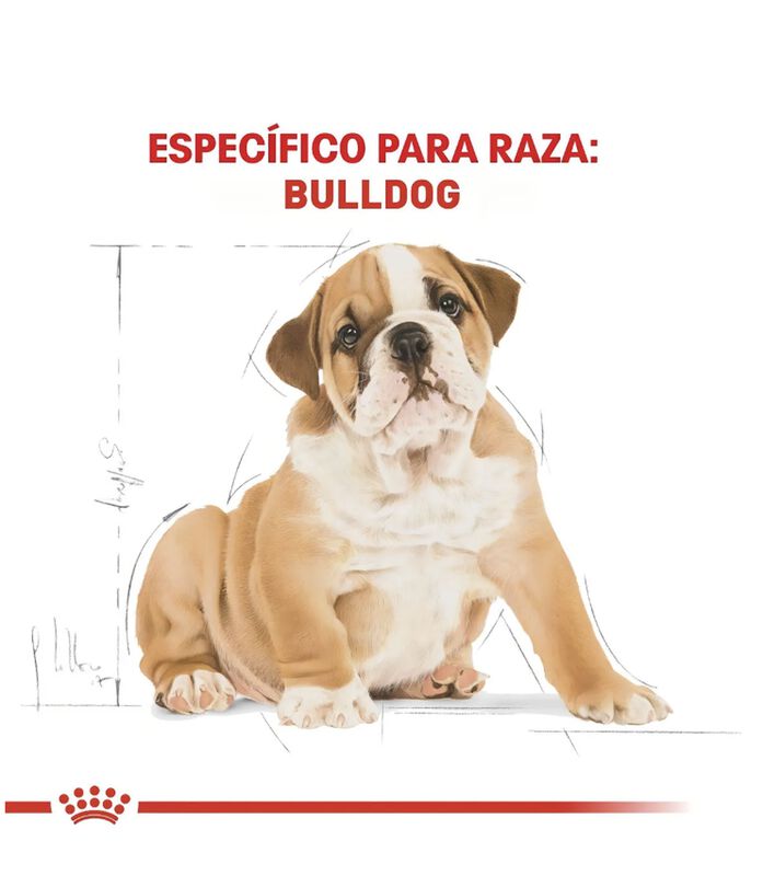 Royal Canin Bhn Bulldog Puppy 13.6 Kg Original ... image number null