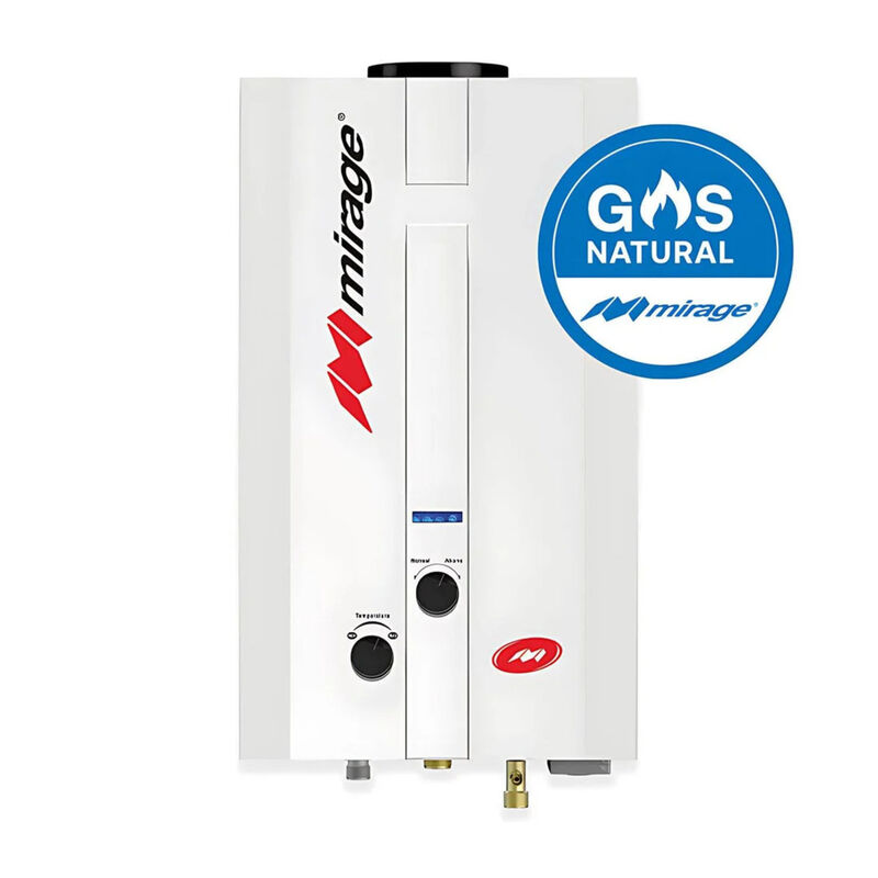 Boiler Paso 6l Gas Lp 1 Servicio Encendido Elec... image number null