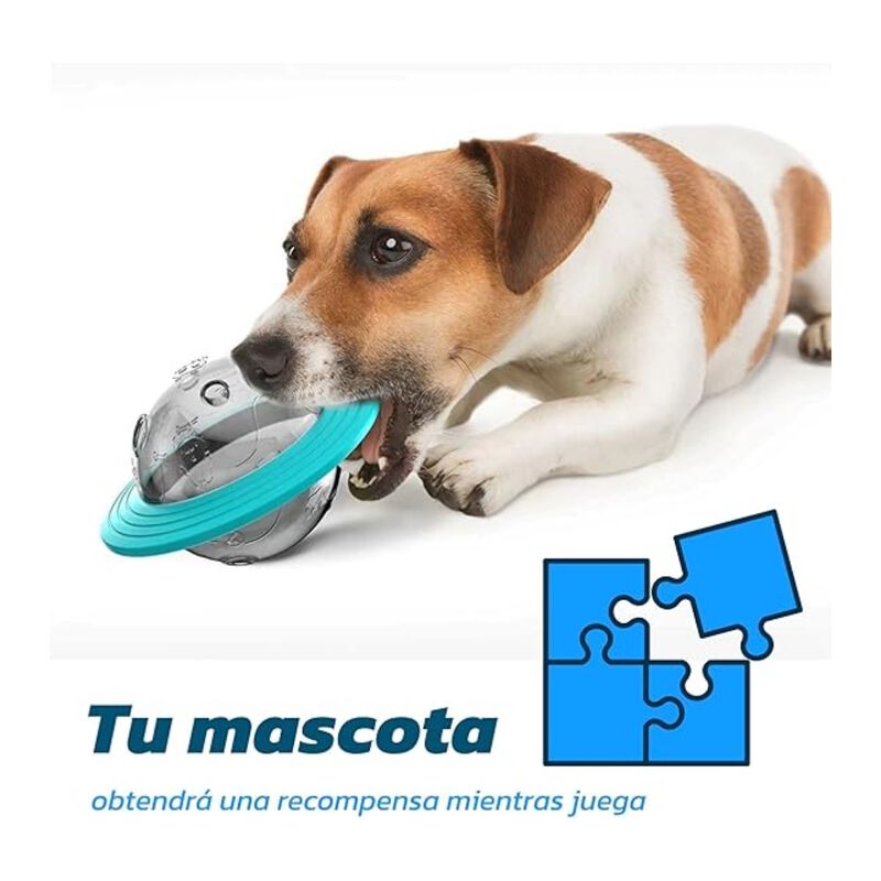 Plato para Perro de Alimentaci&oacute;n Lenta Blueland... image number null