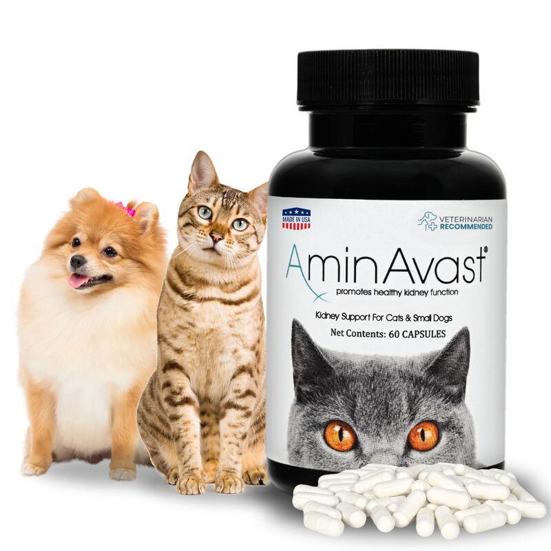 Suplemento Aminavast Kidney Support 300 Mg Para... image number null