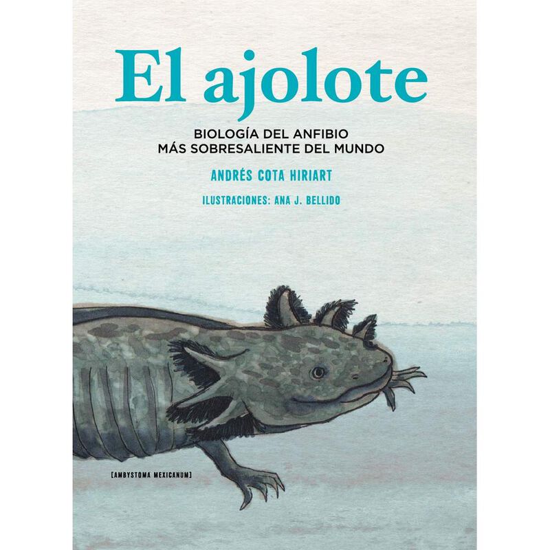 El ajolote. Biolog&iacute;a del anfibio m&aacute;s sobresalie... image number null