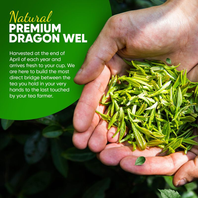 T&eacute; Verde Dragon Well Greenhilltea 113 g (4 oz) ... image number null