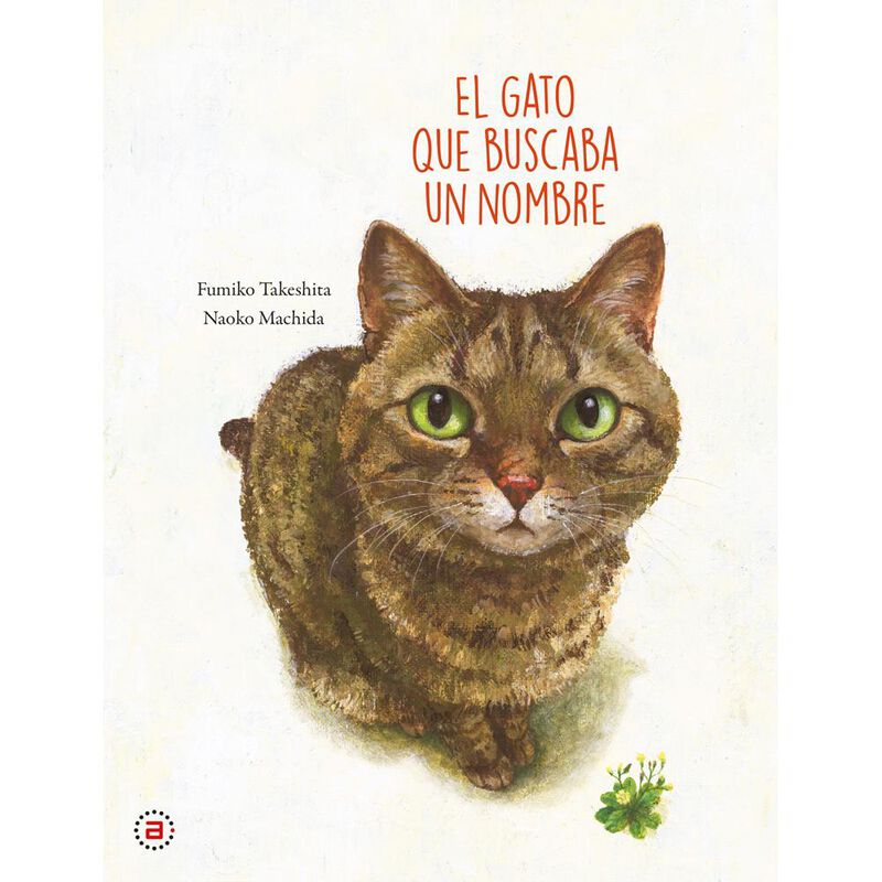 El gato que buscaba un nombre image number null