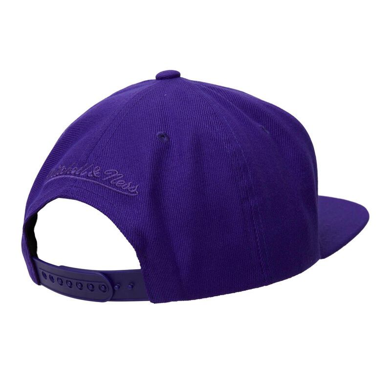 Gorra Mitchell & Ness Lalpurp image number null