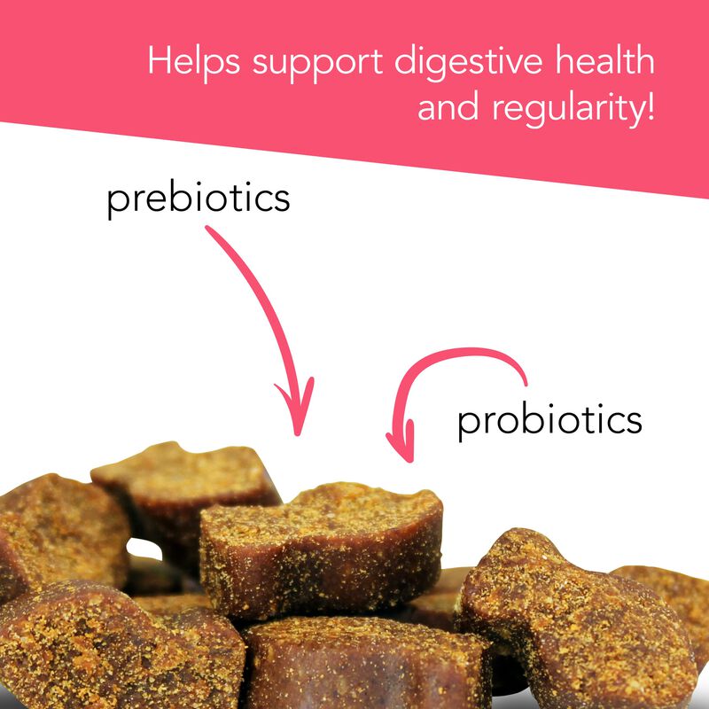 Suplemento Vetriscience Gut Health Chews Probio... image number null