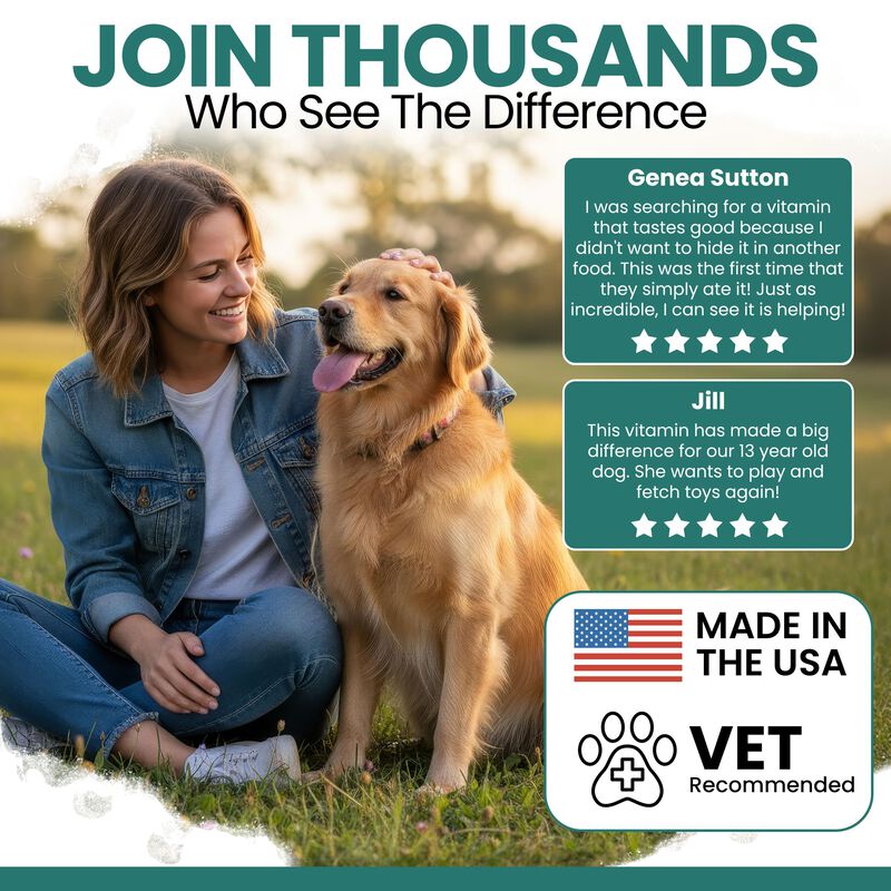 Vitaminas Para Perros Masticables + Heal Labs 1... image number null