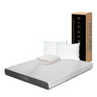 Colch&oacute;n Queen Size Dicasa InaBox + Almohada Oso 2 + Protector Ultra