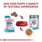 Royal Canin Medium Puppy 13.6 Kg Original Sellado