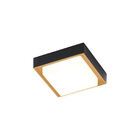 Lámpara Plafón LED de Sobreponer, 15 W, Luz Suave Cálida, IP54, IK05, Interior y Exterior, LED integrado