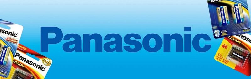Pila Panasonic Evolta Alcalina AAA Tira Con 6 P... image number null