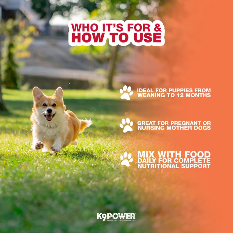 Suplemento Para Cachorros K9 Power 1,3 kg Gold ... image number null