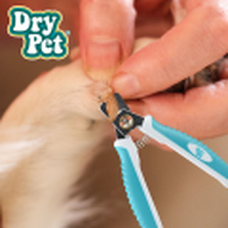 Fancy Pets Cortauñas Para Perro image number null