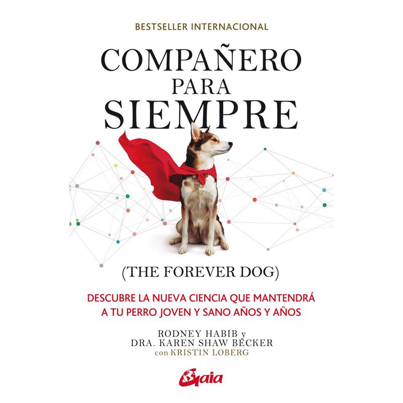 Compa&ntilde;ero para siempre (The forever dog) image number null