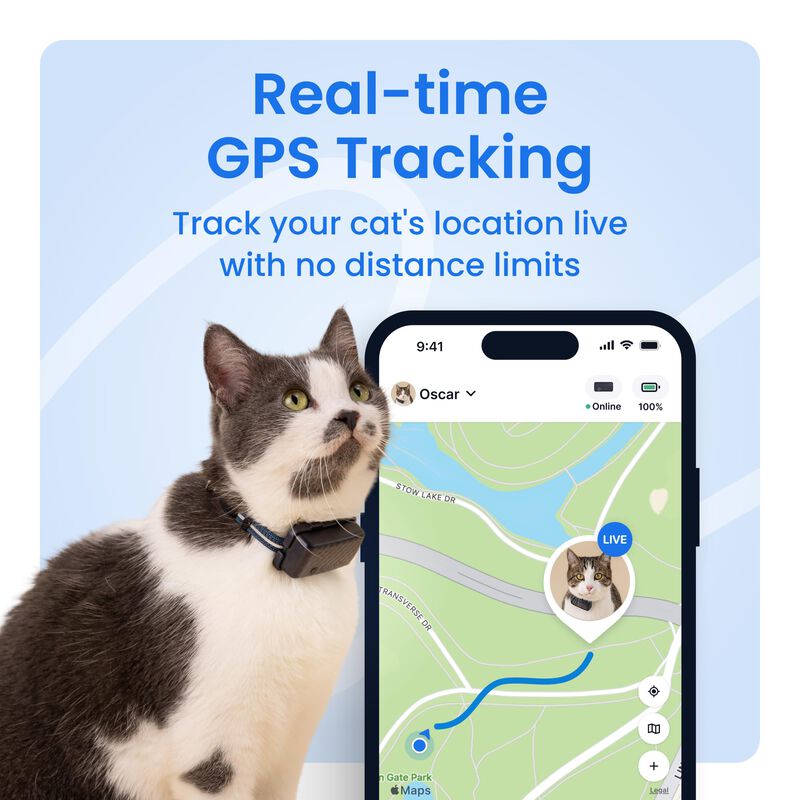 Localizador Gps Para Gatos Tractive, Ubicaci&oacute;n ... image number null