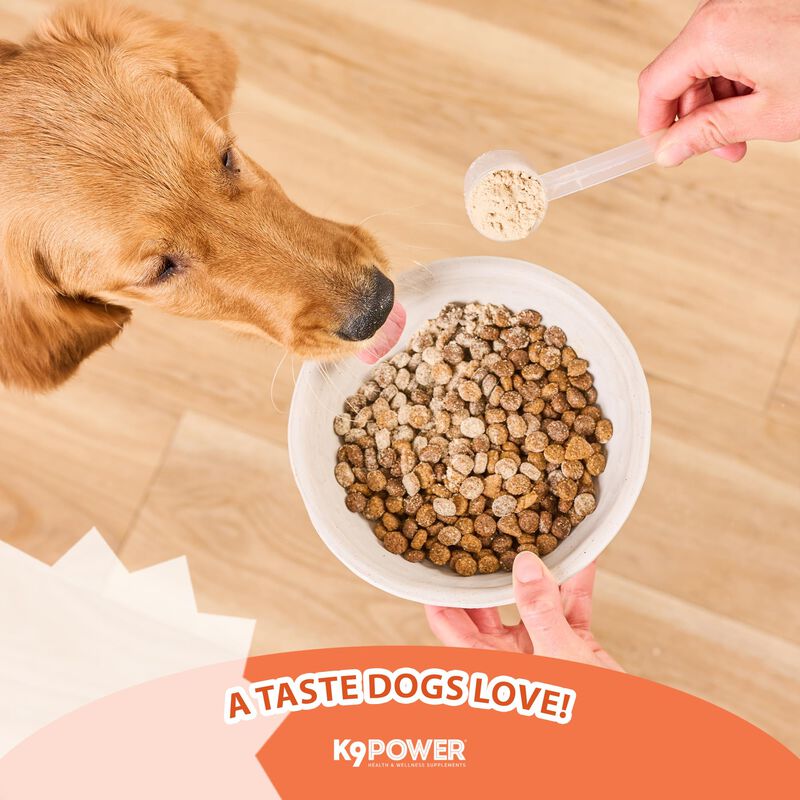 Suplemento Para Cachorros K9 Power 1,3 kg Gold ... image number null