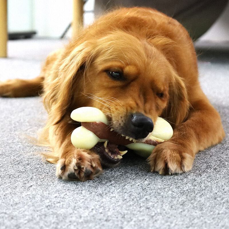 Juguete Masticable Para Perros Tikaton, Hueso D... image number null