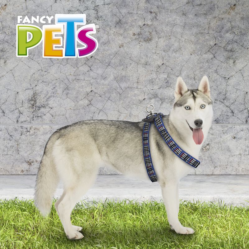 Fancy Pets Arnés Berrydog Color Azul Tamaño Gra... image number null
