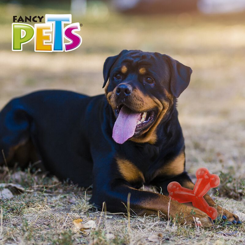 Fancy Pets Juguete Xtreme Hueso Triple Rojo par... image number null