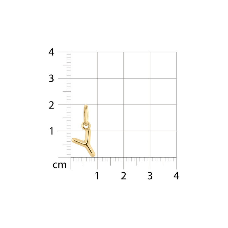 Dije De Oro Amarillo De 10K (Letra Y) Sin Caden... image number null