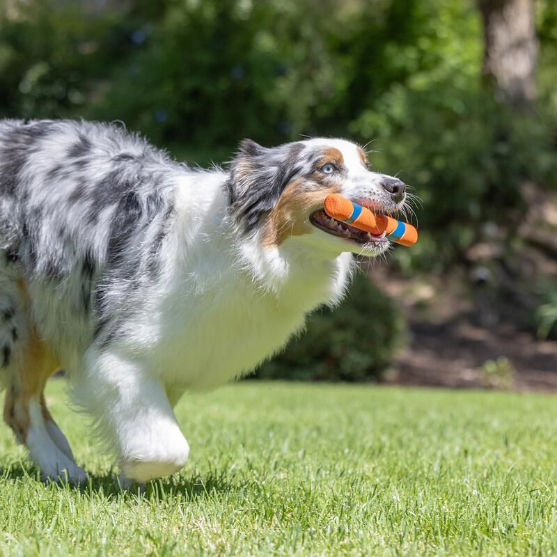 Juguete Para Perros Chuckit! Ultra Fetch Stick ... image number null