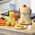 Extractor  de Jugos Standard