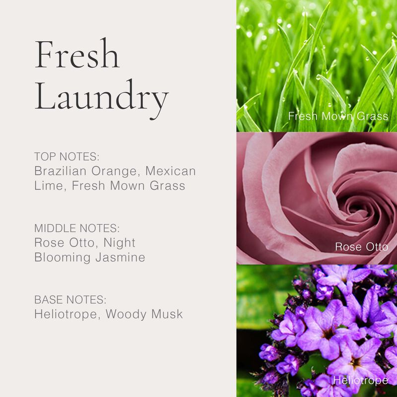 Perfume Clean Classic Fresh Laundry 60 Ml Para ... image number null