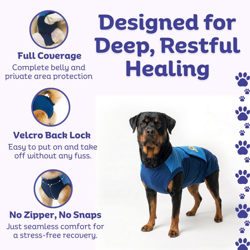Traje De Recuperaci&oacute;n Para Perros Surgi~snuggly... image number null