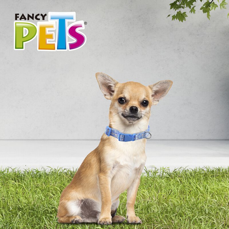 Fancy Pets Collar Galer&iacute;a Sky Look Tama&ntilde;o Extra... image number null