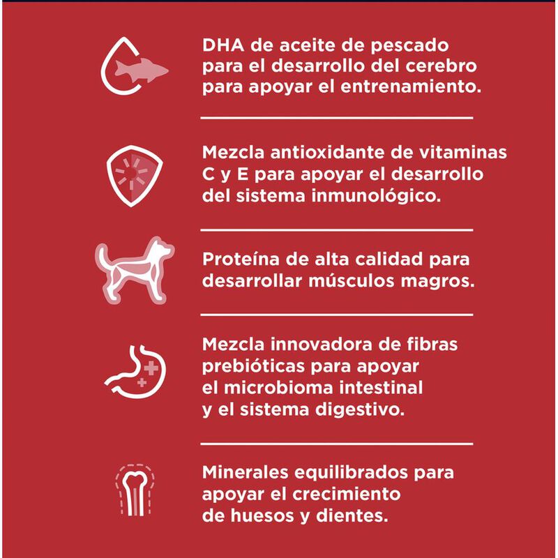 Hill's Canino Puppy 2 Kg 1 Unid X Caja image number null