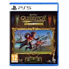 Juego Harry Potter Quidditch Champ Deluxe Edition Ps5