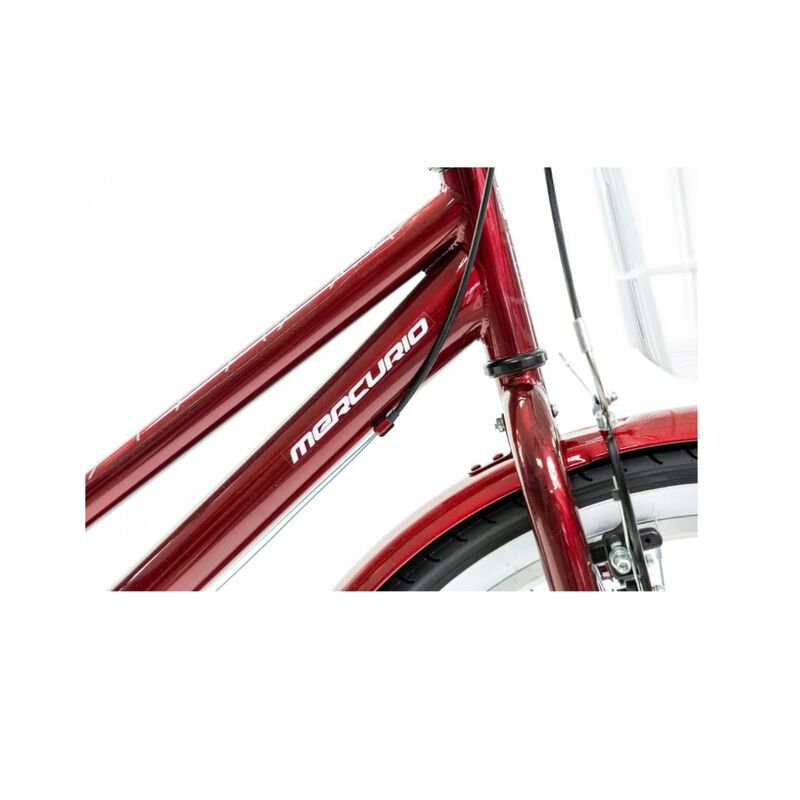 Bicicleta Mercurio Urbana Country R24 Marrón Me... image number null