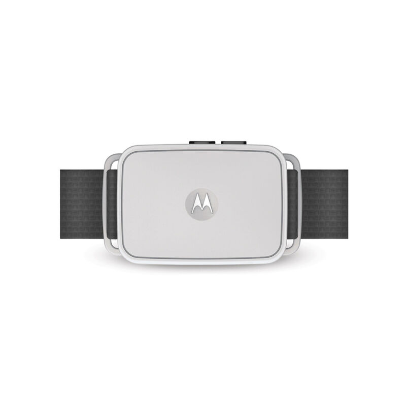 Antiladrido Collar MOTOROLA vibración y sonido ... image number null