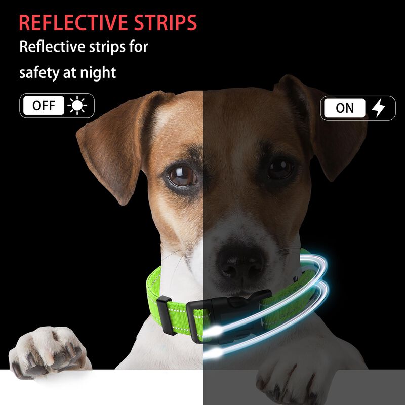 Collar Reflectante Maiiu Para Perro + Correa image number null