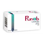 Punab 15 Tabletas 100mg