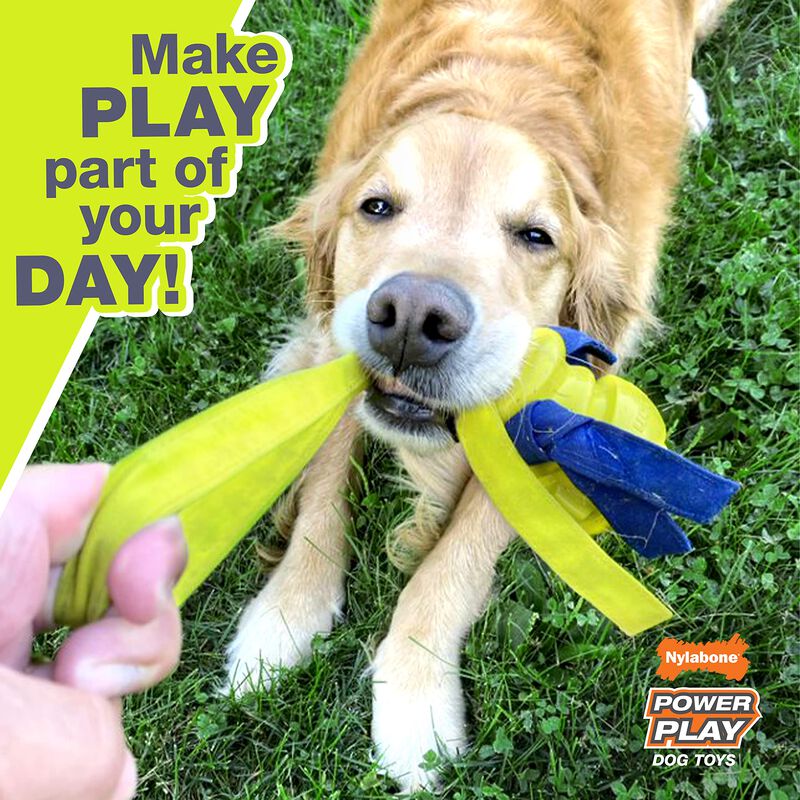 Juguete Para Perro Nylabone Power Play Basketba... image number null