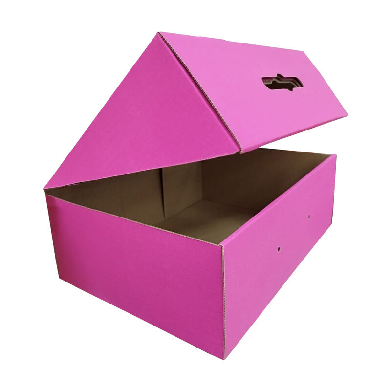 Caja Troq con Agujeta Rosa 30x24x11.5 image number null