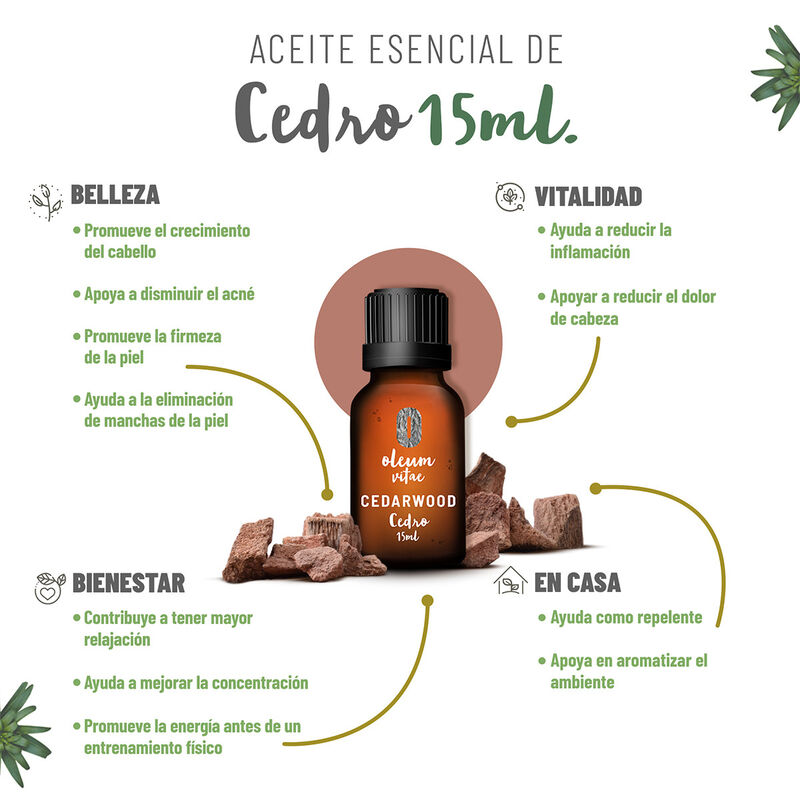 Aceite Esencial Puro Cedro 15 ml 100% Puro y Or... image number null