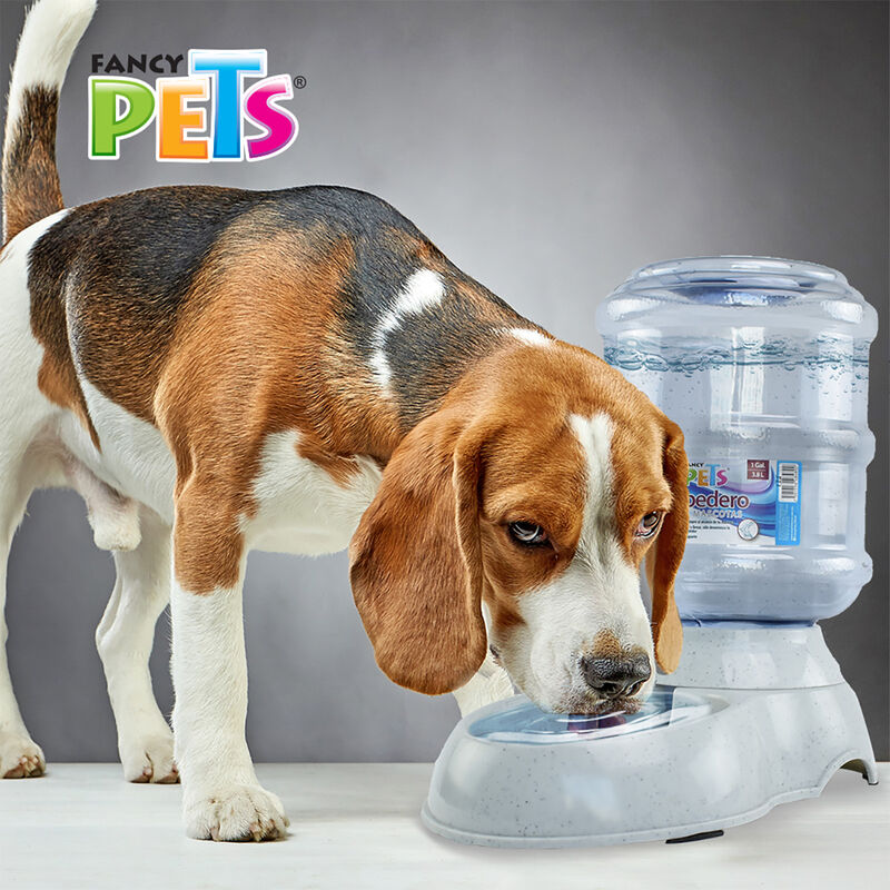 Fancy Pets Bebedero de Agua Chico para Perro o ... image number null