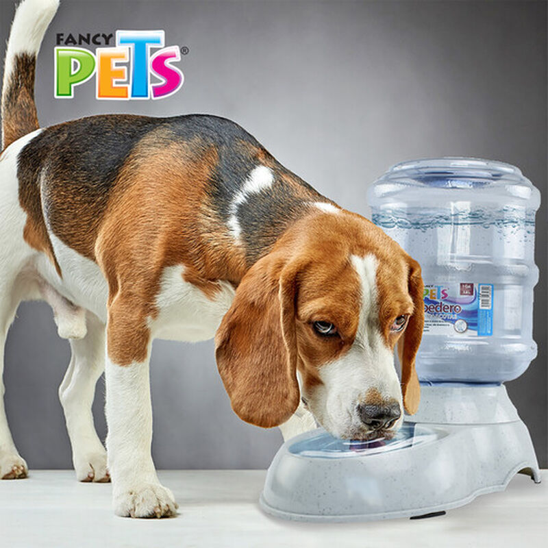 Fancy Pets Bebedero de Agua Chico para Perro o ... image number null