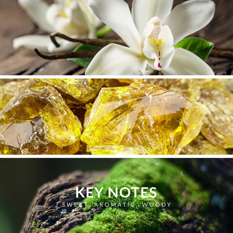 Perfume Reyane Tradition Insurrection Classique... image number null