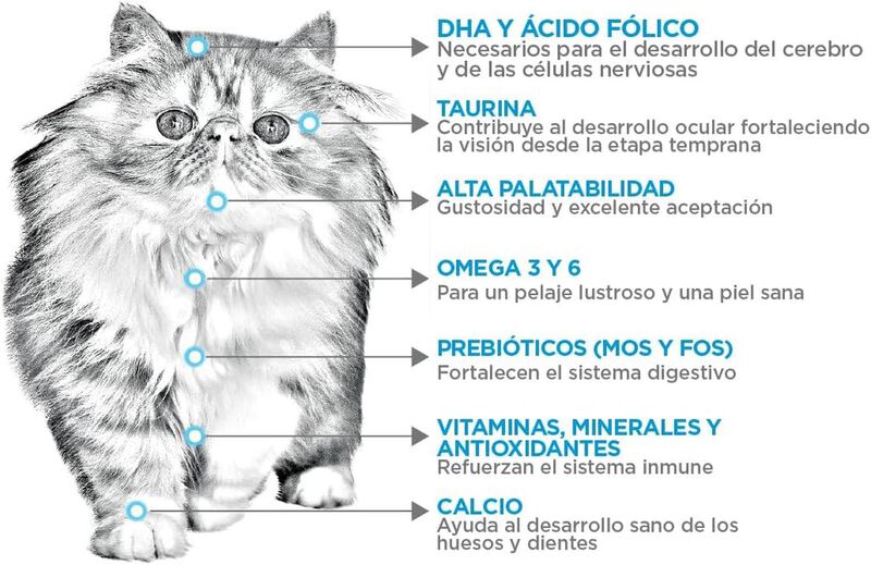 Nupec Felino Kitten 1.5 kg image number null