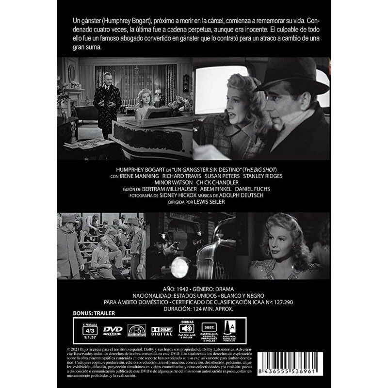 Un G&aacute;nster Sin Destino (the Big Shot) - Dvd (19... image number null