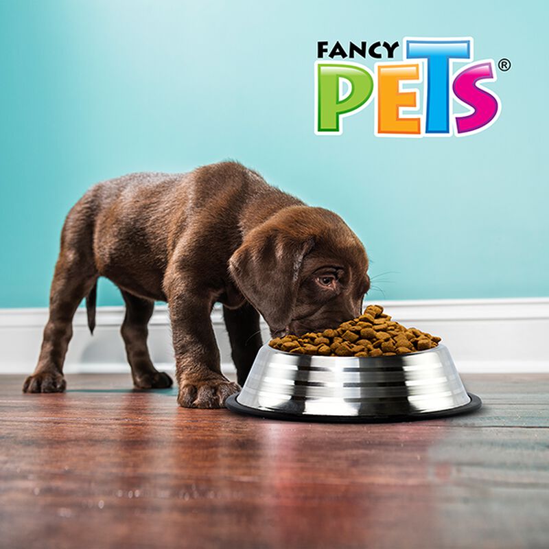 Fancy Pets Plato Estriado De Acero 64 Oz (1.8 K... image number null