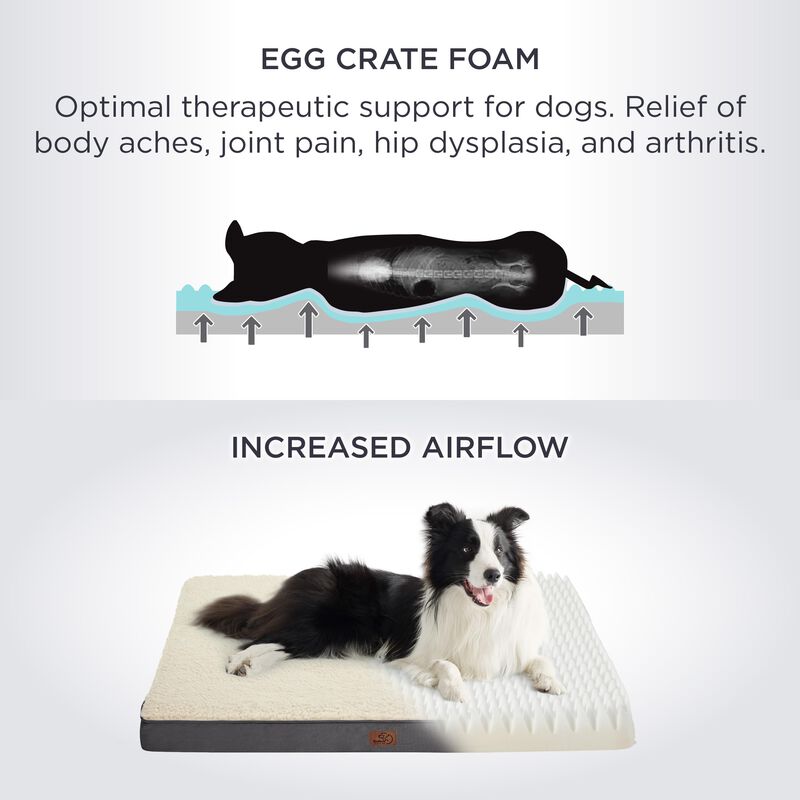 Cama Ortop&eacute;dica Para Perros, Extra Grande, Con ... image number null